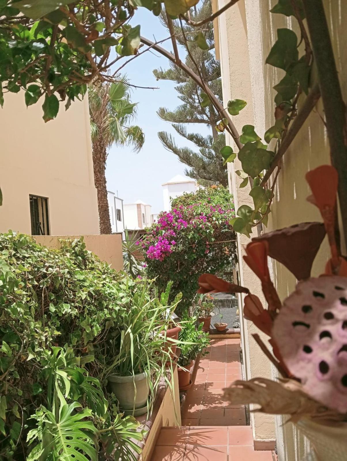 דירות פלאיה הונדה Casa Noray 18 מראה חיצוני תמונה